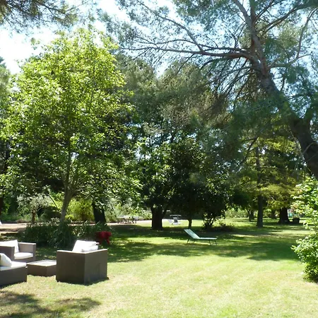 多勉德罗德住宿加早餐旅馆 住宿加早餐酒店 亞維農